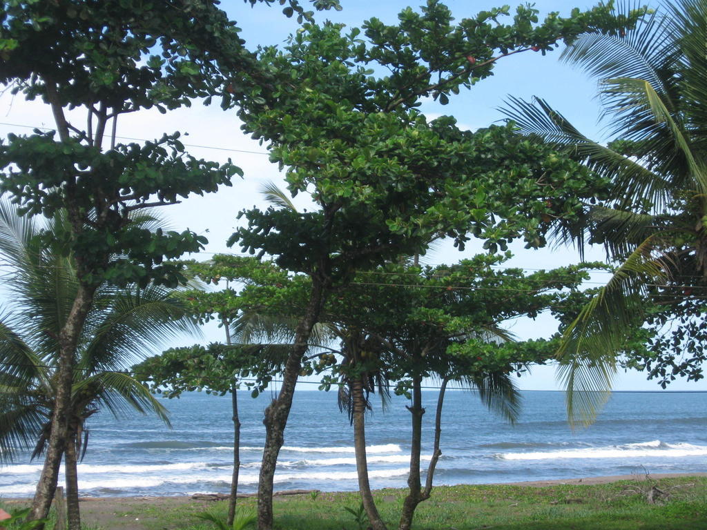 Cabinas Miss Miriam 2 Tortuguero Exterior foto