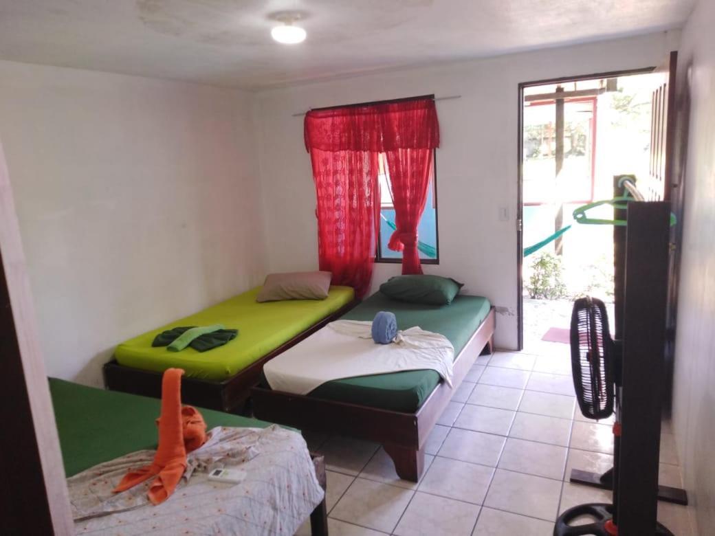 Cabinas Miss Miriam 2 Tortuguero Exterior foto